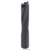 Clip del sistema centrale con foro cieco Ø 10 mm - N°1 - comptoirnautique.com