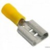 Cosse Faston pré-isolées femelle 2,5-6 mm² 