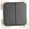 Dark grey double ON-OFF switch