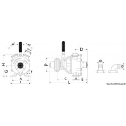 Self-priming bronze pump...