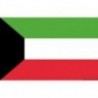 Pabellón de Kuwait 30 x 45 cm
