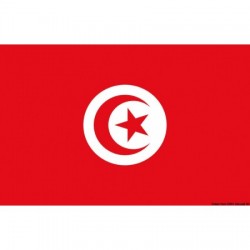 Pavillon Tunisie 20 x 30 cm