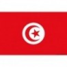 Padiglione Tunisia 30 x 45 cm