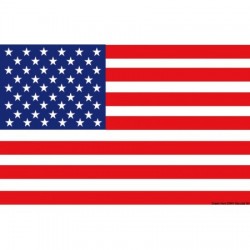 Bandeira dos EUA 20 x 30 cm