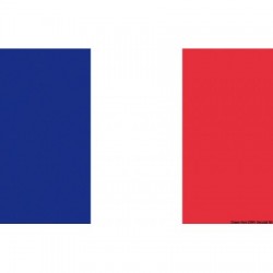 Bandera de Francia 20 x 30 cm