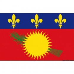 Bandeira de Guadalupe 30 x...