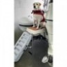 Paws up dog ladder