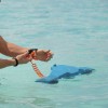 Pack Seascooter Infinity Pro leash de maintien - N°14 - comptoirnautique.com