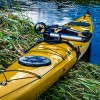 Motore elettrico Cruiser - N°27 - comptoirnautique.com