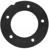 FKM gasket for 5-hole flange