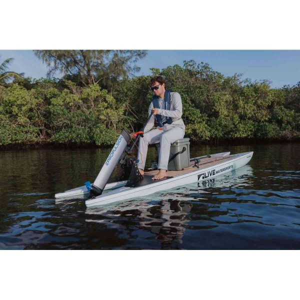 Motor elétrico traseiro Epropulsion Elite 500w - N°18 - comptoirnautique.com