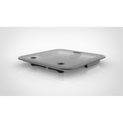 Ultra Low Profile Flush Bi...