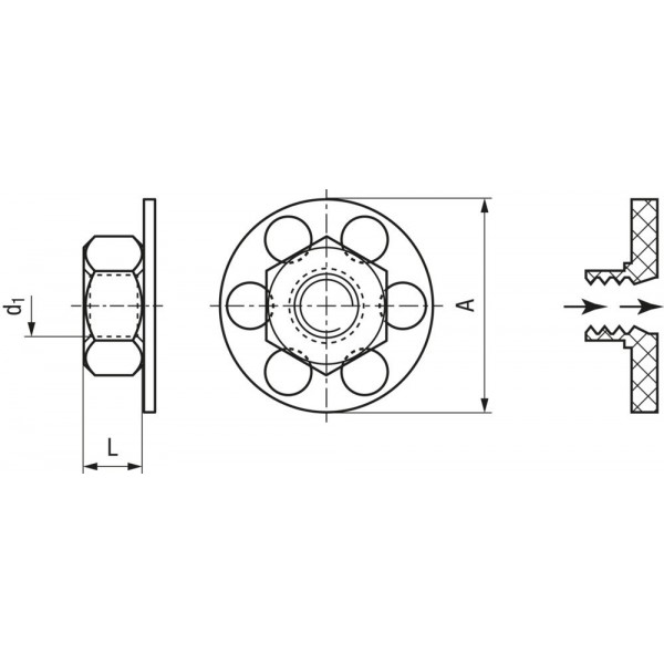 Fissaggio con dado filettato a testa tonda M8 - Acciaio inox - N°2 - comptoirnautique.com