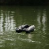 Imbarcazione di adescamento Deeper Quest Chirp + - N°33 - comptoirnautique.com