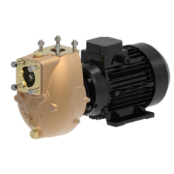 Elettropompa AM40D3 24V