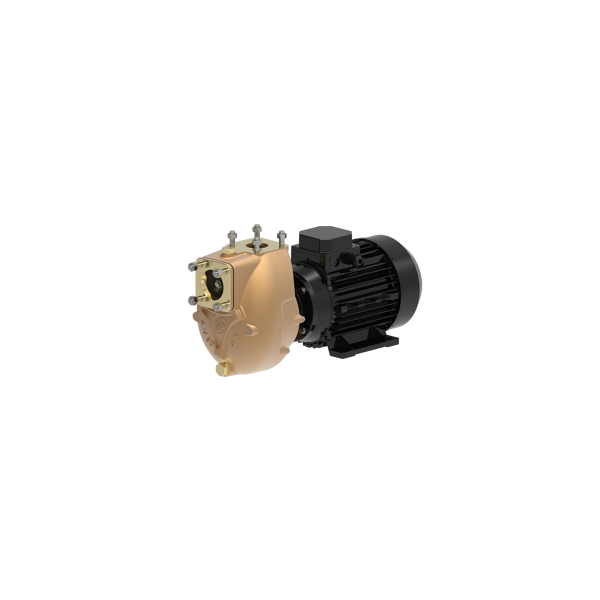 Elettropompa AM40D4EM2M50 230V monofase - N°1 - comptoirnautique.com