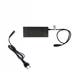 Chargeur 220V pour moteur électrique eLite