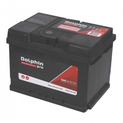 Pro Series battery