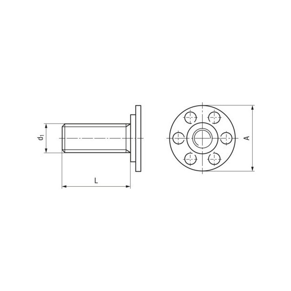 BIGHEAD M1 - Elementi di fissaggio con perno filettato a testa tonda Ø 30 mm - ACCIAIO INOX (M6x30) (confezione da 10) - N°2 - comptoirnautique.com