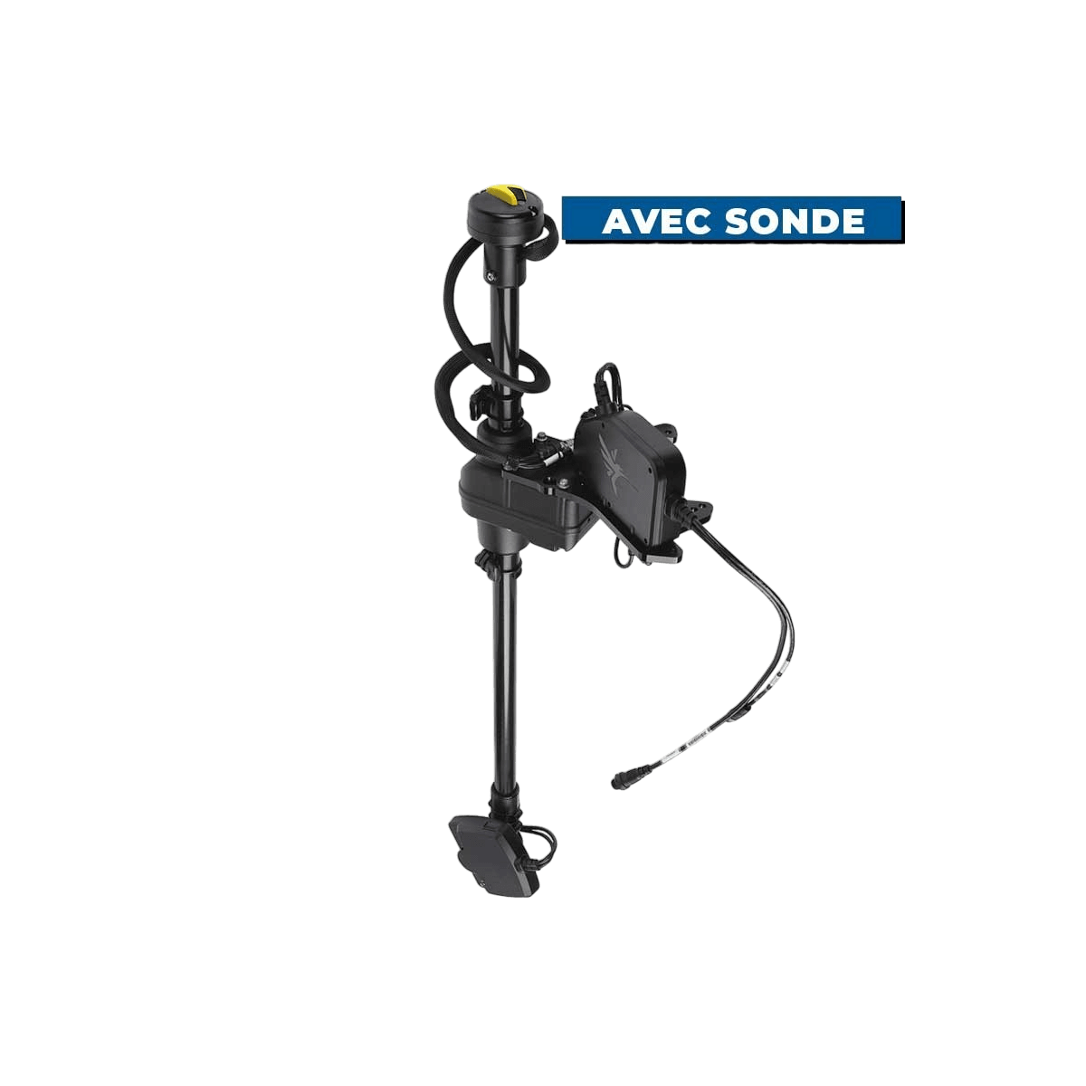TargetLock Humminbird avec sonde Mega Live Imaging