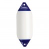 Fender-testa blu F5