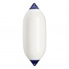 Recinzione-testa blu F13