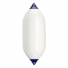 Fender-testa blu F11