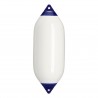 Recinzione-testa blu F7
