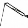 Axis 10' shallow water anchor - Black