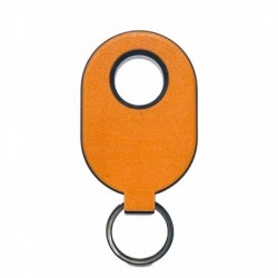 Door-Orange floating key