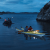 Luce di navigazione Navisafe Navilight 360° tricolore base a ventosa - N°5 - comptoirnautique.com