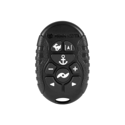 Micro controlo remoto BT e...