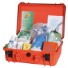Rigid medicine box D.M.10/03/22 Table D
