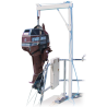 Removable, pivoting davit