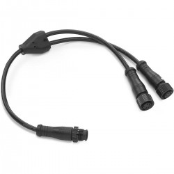 1 male / 2 female RCA...