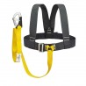 Single-adjustment safety harness with 1 carabiner lanyard