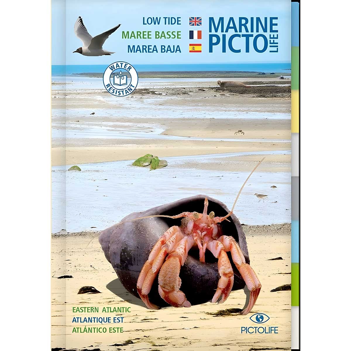 Guide marine marée basse