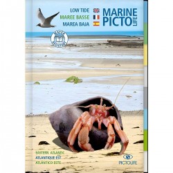 Guida marina alla bassa marea