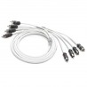 Cable RCA - 4 entradas - 1,83 m
