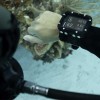 Ordenador de buceo Descent X30 - N°14 - comptoirnautique.com