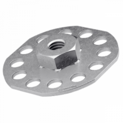 Female round-head...