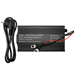 Chargeur valise lithium Ion 36V-5A SH Lithium