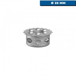 Schnitt-orin mit Anode