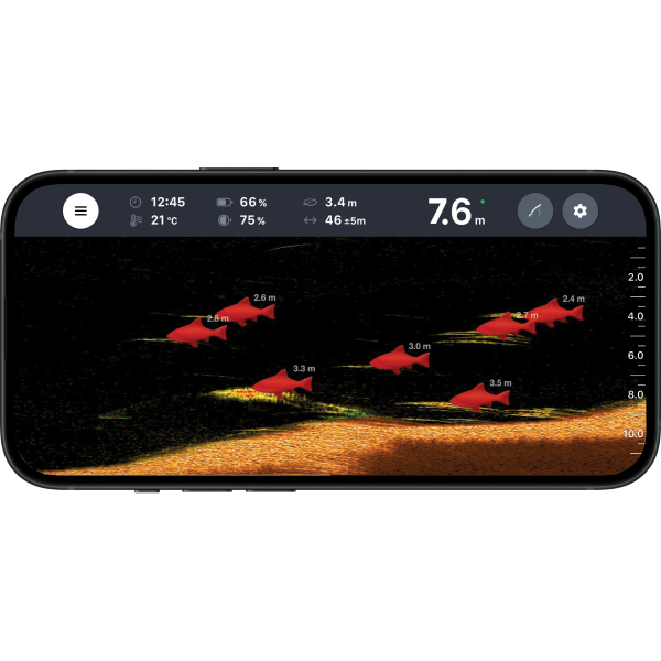 Détection des poisson avec IA deeper chirp+4 - N°3 - comptoirnautique.com