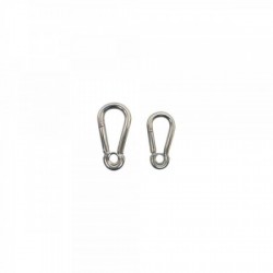 Alpine carabiner with a ring
