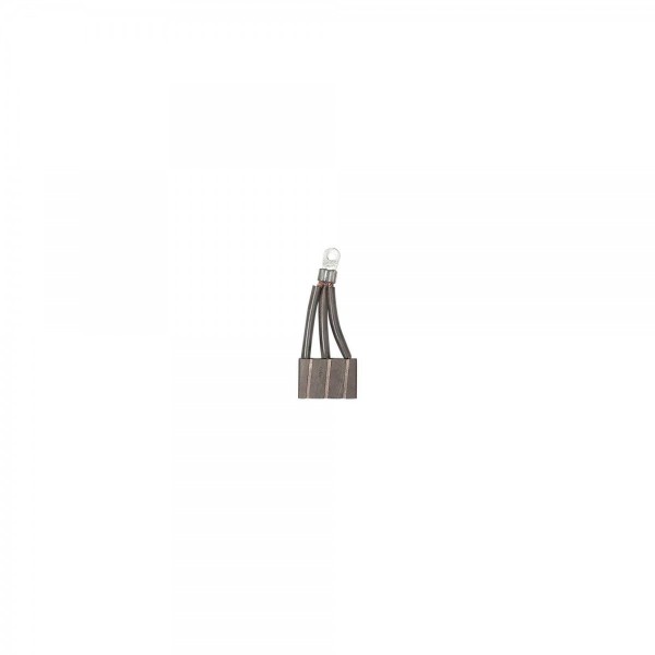 Carbon brush kits, brushes, springs, and thermistors for DC thruster motors - N°20 - comptoirnautique.com