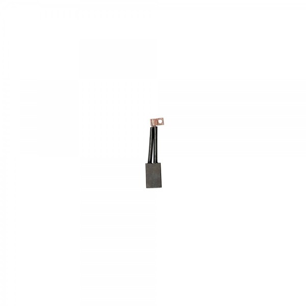 Kit di carboncini, spazzole, molle e termistori per motori a corrente continua dei propulsori - N°24 - comptoirnautique.com