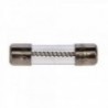 Glass fuses