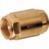 Back--check valve (check valve)