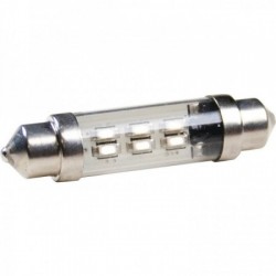 LED Bulbs
